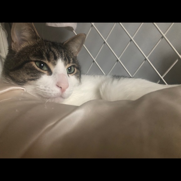 Meet the Posher! - Picture 2 of 2